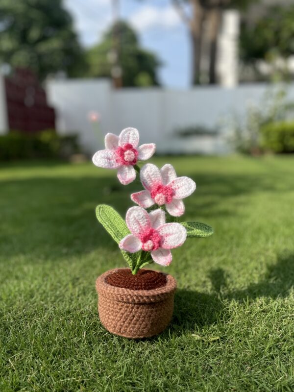Crochet Orchid pot - Image 2